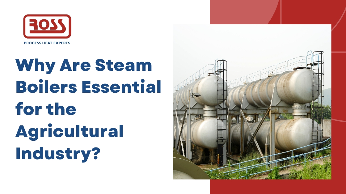 Why Are Steam Boilers Essential for the Agricultural Industry? Steam boilers play a pivotal role in modern agriculture by facilitating various essential processes. They generate steam that provides a consistent and reliable source of heat, which is crucial for enhancing productivity and operational efficiency. From heating and sterilization to drying and power generation, steam boilers are integral to optimizing agricultural operations and ensuring the smooth functioning of numerous processes. Importance of Steam Boilers in Agriculture In the agricultural sector, steam boilers are indispensable due to their critical role in enhancing operational efficiency and productivity. They provide a reliable and consistent source of heat essential for various processes, including food processing, greenhouse climate control, and livestock hygiene. By understanding their significance, stakeholders can better appreciate how steam boilers drive improvements in product quality, operational performance, and sustainability across the agricultural industry. 1. Food Processing Cooking and Pasteurization: Steam boilers are crucial for safely cooking and pasteurizing food products. They effectively eliminate harmful pathogens, ensuring food safety and extending shelf life. Equipment Sterilization: These boilers also aid in the sterilization of processing equipment, which is vital for maintaining high hygiene standards and preventing cross-contamination. 2. Greenhouse Operations Climate Control: In greenhouse settings, steam boilers regulate temperatures, creating ideal conditions for plant growth and maximizing crop yields. They help maintain a stable environment, which is essential for year-round production. CO2 Enrichment: By providing CO2 enrichment, steam boilers enhance photosynthesis, contributing to healthier plants and increased agricultural productivity. 3. Livestock Farming Sanitation: Steam boilers are used to sterilize equipment and facilities, reducing the risk of disease and ensuring a clean environment for poultry and livestock. Feed Preparation: Steam boilers also play a significant role in the preparation and processing of animal feed. By applying steam to feed ingredients, these boilers enhance the digestibility and nutritional value of the feed. 4. Enhancing Efficiency and Productivity Operational Efficiency: Steam boilers streamline agricultural processes by providing a consistent and reliable source of heat. This reduces processing times and enhances overall efficiency in operations such as food preparation, greenhouse management, and livestock care. Quality Control: By ensuring uniform heating and maintaining optimal conditions, steam boilers help achieve consistent product quality. This is critical for maintaining high standards in food safety, plant growth, and animal health. 5. Economic and Environmental Benefits Cost Savings: Steam boilers offer significant long-term cost savings through their energy efficiency and durability. Lower operational and maintenance costs make them a financially sound investment for agricultural businesses. Sustainability: Modern steam boilers are designed to be environmentally friendly, reducing the carbon footprint of agricultural operations. Their ability to integrate with renewable energy sources further enhances their sustainability and supports eco-friendly practices. Key Applications of Steam Boilers in Agriculture Steam boilers are crucial in agriculture, playing a pivotal role in various processes that boost efficiency, productivity, and overall operational effectiveness. From enhancing food safety and quality to supporting climate control in greenhouses and maintaining hygiene in livestock farming, steam boilers offer versatile applications across the agricultural sector. 1. Seed Germination and Treatment Germination Enhancement: Steam boilers provide controlled heat for the germination of seeds, ensuring uniform temperature conditions that promote optimal seed growth. Seed Treatment: They are used for treating seeds with steam to remove pathogens and improve germination rates, leading to healthier and more productive crops. 2. Soil Sterilization Disease Control: Steam boilers are used to sterilize soil by applying steam, which kills harmful bacteria, fungi, and pests. This process improves soil health and reduces the need for chemical treatments. Improved Crop Yields: By creating a pathogen-free environment, soil sterilization enhances crop yields and quality. 3. Dairy Processing Milk Pasteurization: Steam boilers are essential in dairy processing for the pasteurization of milk. They heat milk to kill harmful bacteria, ensuring it is safe for consumption and extends its shelf life. Sanitization: They are also used for sanitizing dairy equipment and facilities, maintaining high hygiene standards and preventing contamination. 4. Aquaculture Water Heating: In aquaculture, steam boilers heat water in tanks and ponds to maintain optimal temperatures for aquatic species. This is crucial for promoting healthy growth and maximizing production. Tank Cleaning: They are used for cleaning and sterilizing tanks and equipment, ensuring a hygienic environment for fish and other aquatic organisms. 5. Agrochemical Production Chemical Reactions: Steam boilers provide the necessary heat for chemical reactions in the production of agrochemicals. This includes the manufacturing of fertilizers, pesticides, and herbicides. Processing Efficiency: The consistent heat supplied by steam boilers improves the efficiency of chemical processing, leading to higher-quality products. 6. Heating of Agricultural Buildings Temperature Regulation: Steam boilers are used to heat agricultural buildings, such as barns and storage facilities. This helps maintain a stable temperature, ensuring the comfort of animals and protecting stored goods from temperature fluctuations. Energy Efficiency: They provide an efficient and reliable heating solution, reducing energy costs and enhancing the overall operational efficiency of agricultural facilities. Benefits of Using Steam Boilers in Agriculture Steam boilers are an invaluable asset in modern agriculture, providing numerous benefits that enhance operational efficiency, cost-effectiveness, and environmental sustainability. By generating consistent and reliable heat, steam boilers support various agricultural processes, from food processing and greenhouse climate control to livestock care and feed preparation. Energy Efficiency Steam boilers are known for their energy efficiency compared to other heating methods. They provide a consistent and reliable source of heat, which can lead to significant energy savings. This efficiency is particularly beneficial in agricultural settings where large amounts of heat are required for various processes. Cost-Effectiveness In the long term, steam boilers prove to be cost-effective. They reduce operational and maintenance costs by providing reliable performance and minimizing downtime. Their durability and efficiency contribute to lower overall expenses, making them a valuable investment for agricultural businesses. Environmental Impact Steam boilers contribute to environmental sustainability by reducing the carbon footprint of agricultural operations. Modern steam boilers are designed to be more energy-efficient and environmentally friendly, aligning with global sustainability goals. Their ability to integrate with renewable energy sources further enhances their environmental benefits. Choosing the Right Steam Boiler for Agricultural Use Factors to Consider When selecting a steam boiler for agricultural use, several factors must be considered. These include the boiler’s capacity and size, which should match the specific needs of the operation. The type of boiler (fire-tube vs. water-tube) and fuel sources (natural gas, diesel, biomass) are also important considerations. Each type and fuel source has its advantages and suitability depending on the application. Maintenance Regular maintenance is crucial for ensuring the optimal performance and longevity of steam boilers. Proper upkeep helps in maintaining efficiency, reducing the risk of breakdowns, and extending the equipment’s lifespan. Implementing a routine maintenance schedule can prevent issues and ensure the boiler operates smoothly. Case Studies and Real-World Examples Food Processing Plants Large-scale food processing plants utilize steam boilers to enhance safety and quality. By employing steam for cooking and pasteurization, these plants can produce safe and high-quality food products. Steam boilers also aid in the efficient cleaning and sterilization of equipment, ensuring a hygienic production environment. Greenhouses Greenhouses have successfully implemented steam boilers to optimize climate control and improve crop yields. By maintaining the ideal temperature and supporting CO2 enrichment, steam boilers contribute to better plant health and productivity. These real-world examples demonstrate the effectiveness of steam boilers in enhancing agricultural operations. Future Trends and Innovations Technological Advances The future of steam boilers in agriculture is characterized by technological advancements. Innovations such as smart boilers with automation and energy-efficient designs are emerging. These developments promise improved performance, greater efficiency, and integration with renewable energy sources, aligning with the industry’s sustainability goals. Sustainability As agricultural practices evolve, steam boilers are expected to play a crucial role in supporting sustainable practices. The integration of renewable energy sources and advancements in boiler technology will contribute to more environmentally friendly and efficient agricultural operations. Conclusion Why Are Steam Boilers Essential for the Agricultural Industry